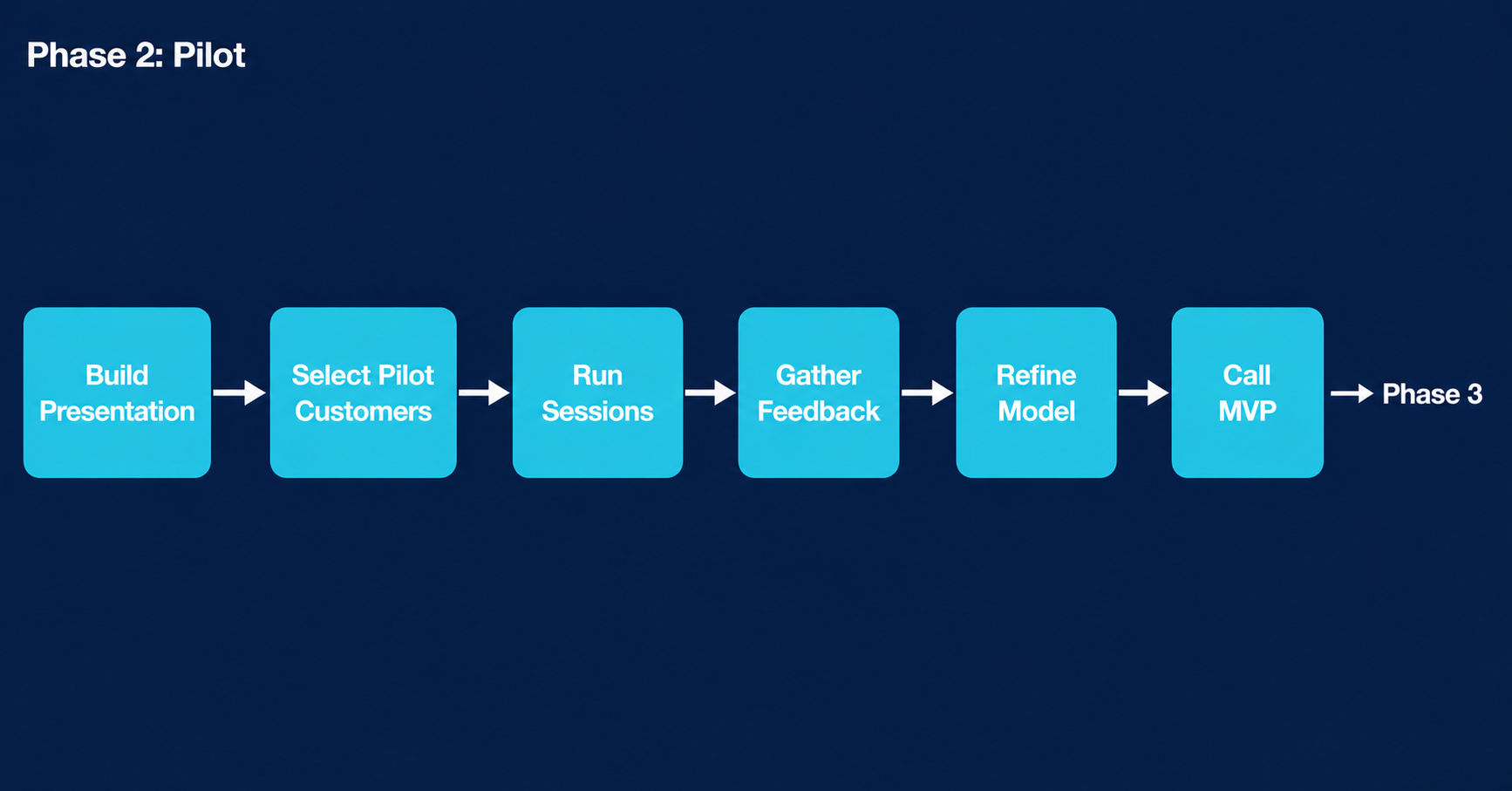 Phase 2 Pilot workflow diagram