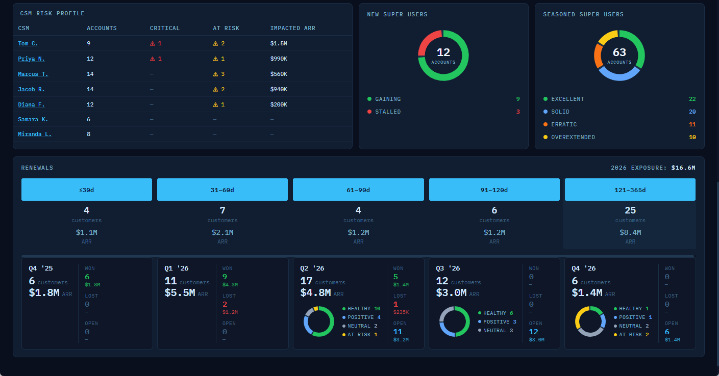 Summary (continued): CSM risk profile, super users, and renewals